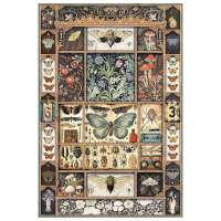 Ciao Bella Cabinet of Curiosites A4 Rice Paper Mixed (4pcs) (CBRA001)